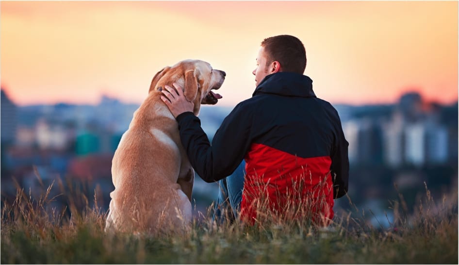 A man and his dog enjoying a sunset view.