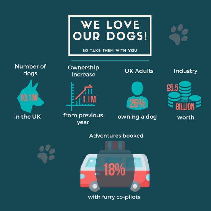 A graphic showing how much Southampton campers loves dogs.