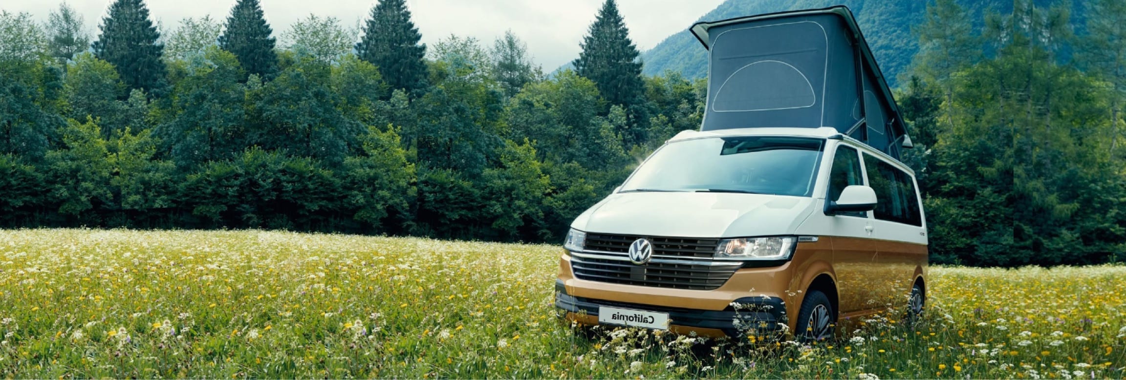 VW Camper Hire | VW Campervan Hire - Southampton Campers